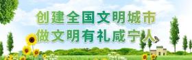 新澳门内部资料精准大全2024，2024年08月15日孟祥伟到通山县专题调研群众身边不正之风和腐败问题集中整治工作时强调：提高政治站位 强化问题导向 纵深推进集中整治取得新成效_词语解释落实_网页版gg87rj-图6