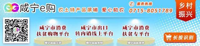 澳门一肖一码一必中一肖同舟前进，2024年08月19日156公里！通城实施“三年行动”_词语深度剖析解析落实_网页版rlsl22-图5