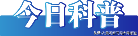 澳门一肖一码一特一中云骑士，2024年08月19日今日辟谣（2024年8月19日）_词语解释落实_网页版75716l-图4