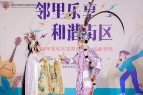 2024年宝安区邻里音乐节民乐、戏曲专场精彩上演-图6