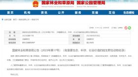 不要捉！捉一只就违法，已有两人被抓！网友：经常遇见……-图3