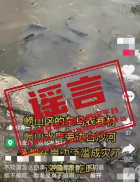 昨夜今晨丨一地深夜4.6级地震丨中学正副校长组团贪腐丨赶海遭雷击1人死亡丨故宫回应怎么封“黄牛”-图10