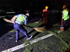 湖北高速交警襄州大队严阵以待 联动各方及时高效处置一起大树横断道路隐患-图3