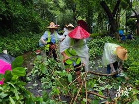 防汛一线｜白云城管积极应对强降水，全力维护城市正常运转-图1