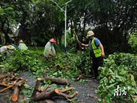 防汛一线｜白云城管积极应对强降水，全力维护城市正常运转-图2