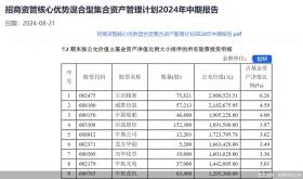 权益产品中报相继出炉！丘栋荣卸任前隐形重仓股曝光-图1