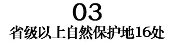 国家一级！阜阳7个！每一个都是阜阳美好的见证-图18