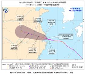 中央气象台：台风“贝碧嘉”登陆上海 江浙沪皖有强风雨-图2