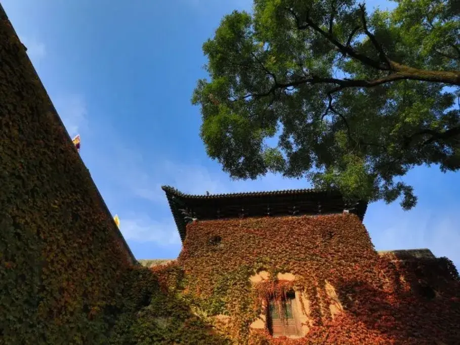 跟着悟空游山西丨从南到北，一条线路走遍山西的5A绝美景区-图7