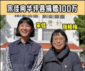 都是演张桂梅，宋佳口碑炸裂捐赠100万，海清被剧情拖累掉落神坛-图2