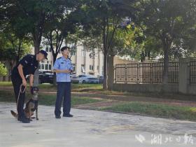 武汉警方探索无人机协同警犬作战 戴着眼镜的“哮天犬”身手更敏捷-图3